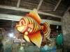 Giant Fish Closeup, Portobello Hotel, Angra, Brazil