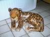 Jaguar Closeup, Portobello Hotel, Angra, Brazil