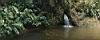 Waterfall & Natural Spring-Fed Pool, Xandari Resort & Spa, San Jose, Costa Rica