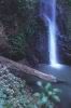 Waterfall, Xandari Resort & Spa, San Jose, Costa Rica