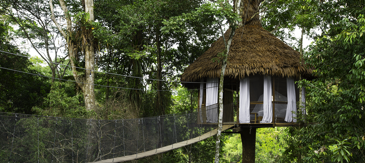Treehouse Ten-Costa Bella, Treehouse Lodge, San Juan Bautista Iquitos, Loreto, Peru