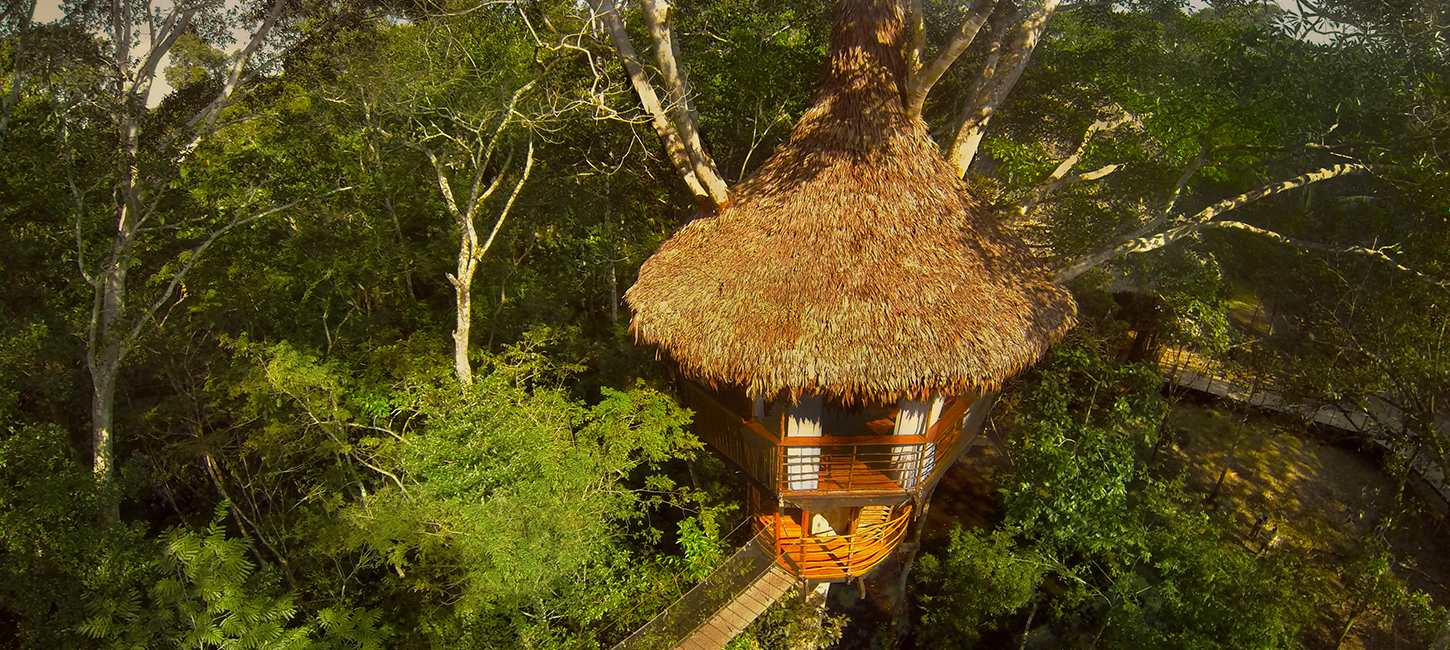 Treehouse One-Dos Ramas, Treehouse Lodge, San Juan Bautista Iquitos, Loreto, Peru