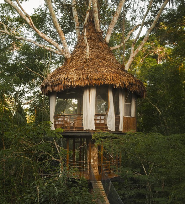 Treehouse Two-Laguna Vista, Treehouse Lodge, San Juan Bautista Iquitos, Loreto, Peru