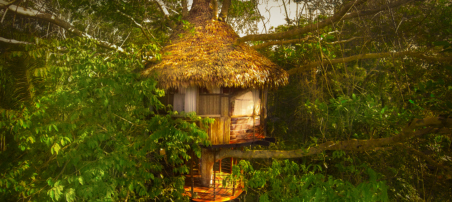 Treehouse Three-Rio Vista, Treehouse Lodge, San Juan Bautista Iquitos, Loreto, Peru