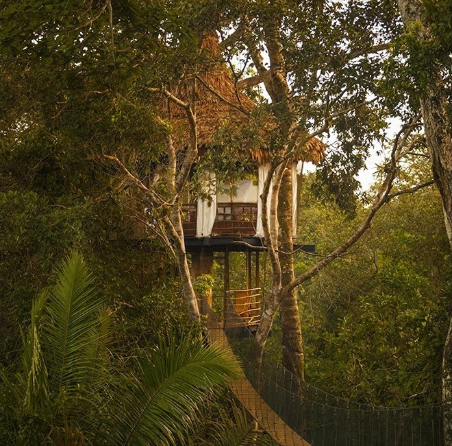 Treehouse Seven-Solitude, Treehouse Lodge, San Juan Bautista Iquitos, Loreto, Peru