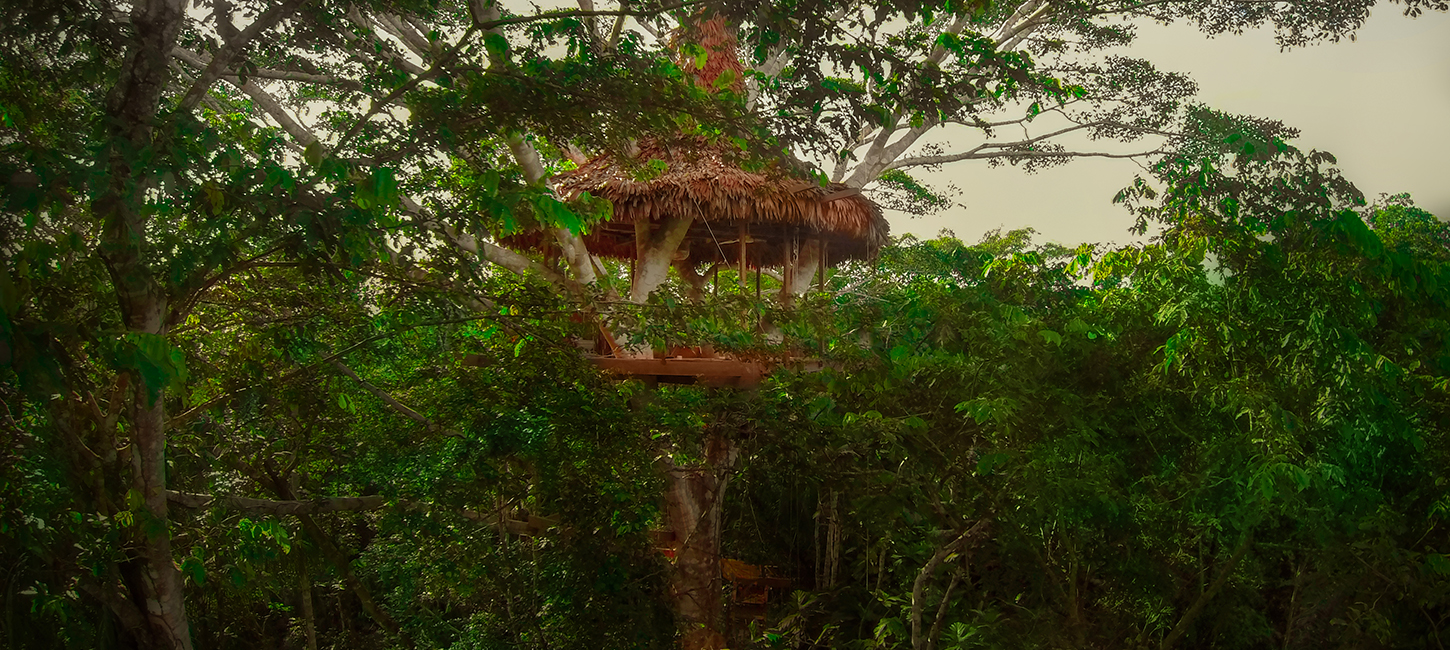 Treehouse Eight-The Cradle, Treehouse Lodge, San Juan Bautista Iquitos, Loreto, Peru