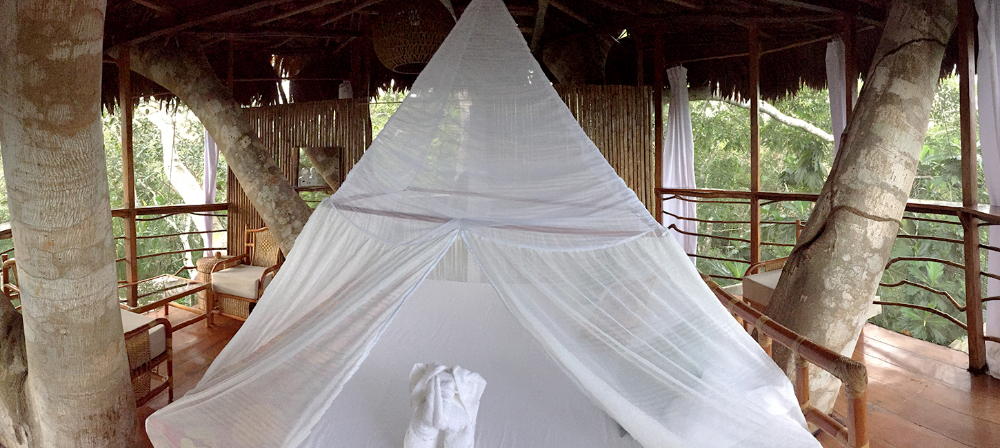 Treehouse Eight-The Cradle, Treehouse Lodge, San Juan Bautista Iquitos, Loreto, Peru