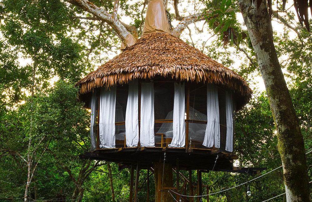 Treehouse 9 Serena, Treehouse Lodge, San Juan Bautista Iquitos, Loreto, Peru