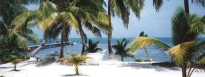 White sand beach on Ambergris Caye, Belize.