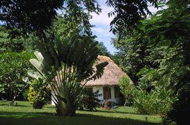 Wake up to the sounds of the jungle at Chaa Creek Cottages, Belize