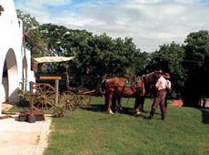 One can go horseback riding with authentic gauchos, or enjoy a horse and buggy ride around the estate.