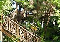 Deluxe Treehouse, Hamanasi Adventure & Dive Resort, Dangriga, Belize