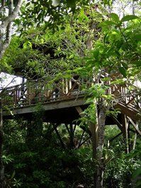 Treehouse, Hamanasi Adventure & Dive Resort, Dangriga, Belize