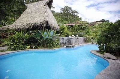 Free form swimming pool, Lost Iguana Resort Hotel, Arenal, Costa Rica
