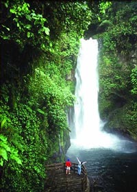 As you wander the trails of La Paz Waterfall Gardens your senses will delight at the five waterfalls that line the trail.