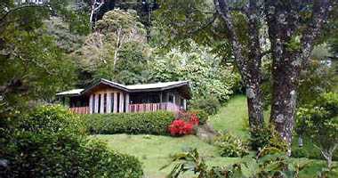 Classic Suite Cabin, Sapo Dorado Hotel, Monteverde, Costa Rica
