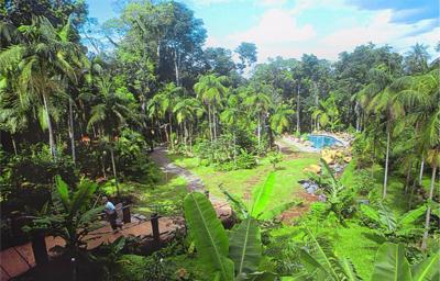 Yacutinga Lodge rainforest garden